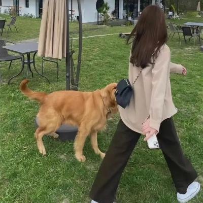 幸福里的故事